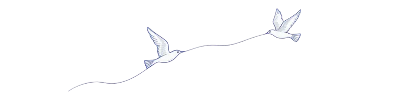 Untitled design (27)